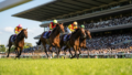 【5/16中央競馬予想】かめきち渾身の勝負印！新潟大賞典＆京都ハイジャンプ重賞デーを撃ち抜く