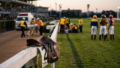 競馬予想YouTube、俺が信頼してる人としてない人の話