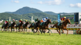 函館競馬場で買える血統｜芝・ダート 距離別「相性のいい種牡馬」完全ガイド