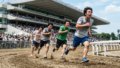 安田記念の「過去の共通点」を全部洗い出した|2026年に当てはまる馬は?