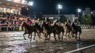 ブリーダーズゴールドカップ2026｜過去データ・馬場・天候・おすすめ5頭【門別競馬】