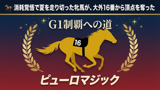 ピューロマジックG1制覇の全軌跡｜夏場連戦で磨かれた”令和の韋駄天”がスプリンターズS頂点へ