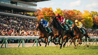 🏇 京都大賞典2026【データ分析＆前日予想予告】
