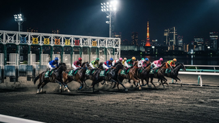 東京盃2026予想｜大井の夜に王者を探せ