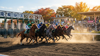 ネクストスター笠松2026予想｜2歳の頂点、どの馬が旗を立てる